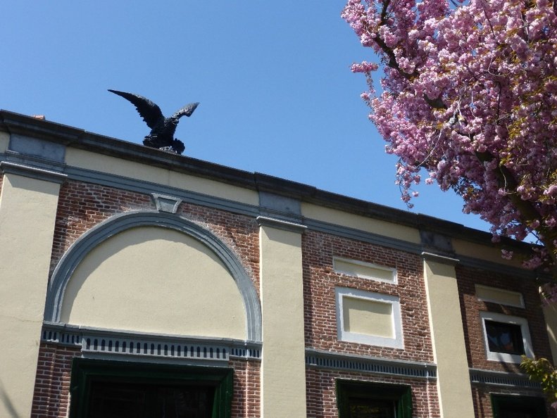 bezoek nia - soc - den bosch 4 20170418 1831673775